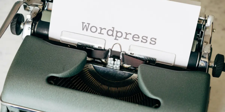 워드프레스 텍스트 상자